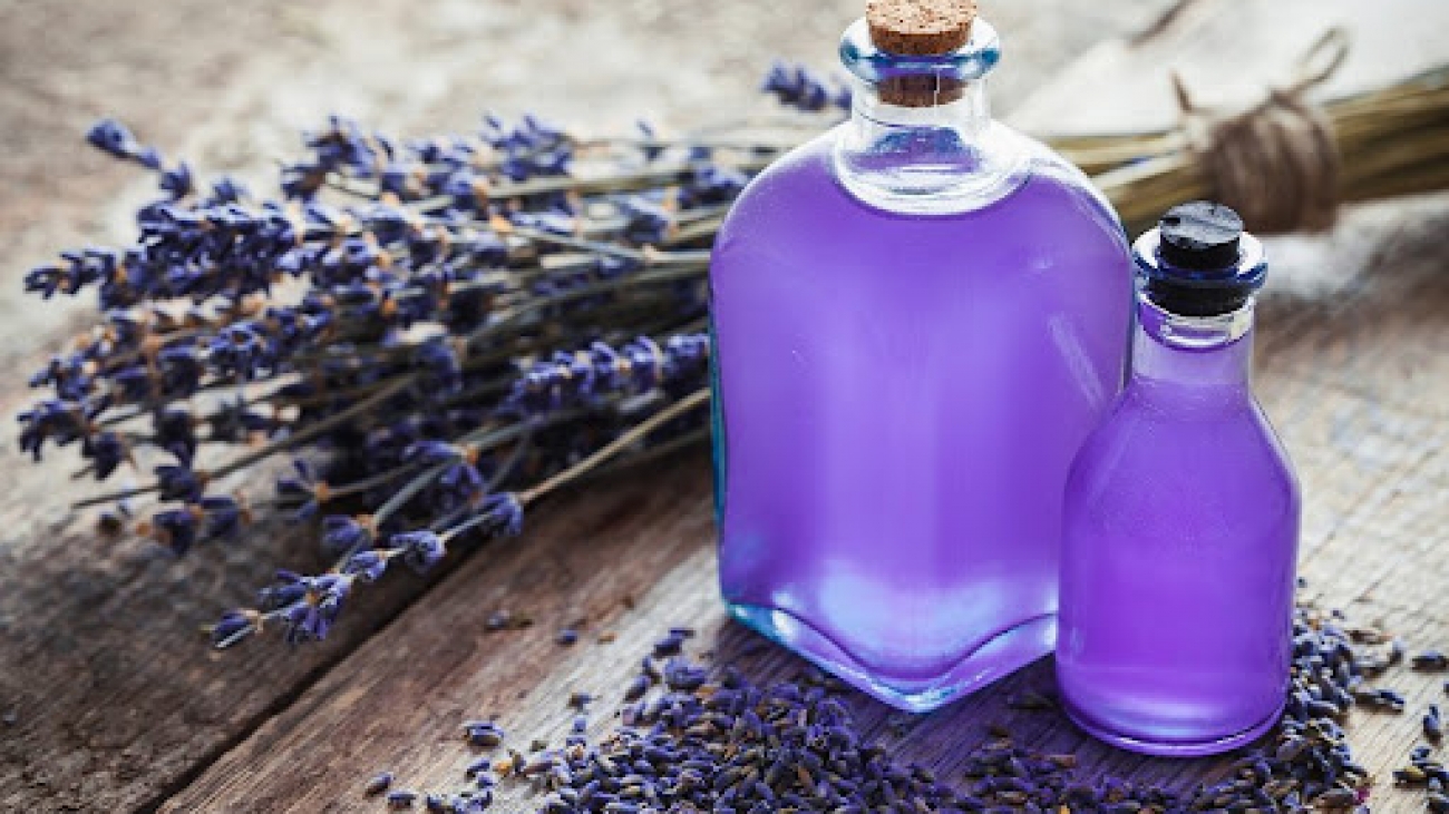 Tinh Dầu hoa Oải hương Lavender là gì?